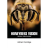 Honeybees Vision: Recent Discoveries