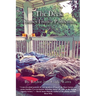 The Deck: Stories From a Pandemic