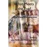 What Meets the Eye?: The Deaf Perspective