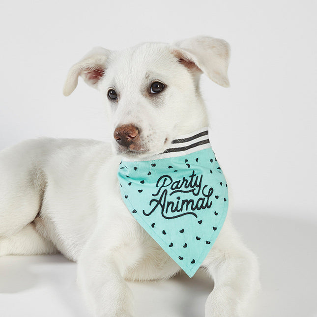 Party Animal Pet Bandana | In Blue With Printed Hearts Designs by The Bullish Store