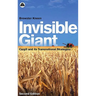 Invisible Giant: Cargill and Its Transnational Strategies