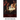Exhalted Christ