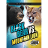 Black Bear vs. Mountain Lion