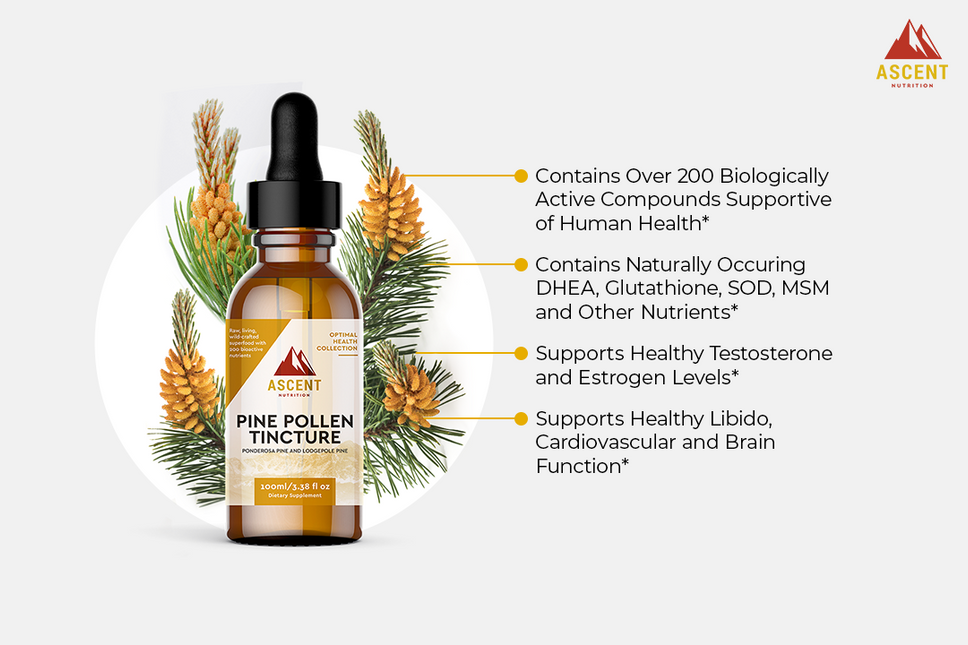 Wild-Harvested Pine Pollen Tincture, 100 ml Bottle by Ascent Nutrition