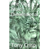 Are You Multidimensional: Travel Through Space and Time