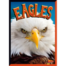 Eagles