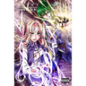 Wiedergeburt: Legend of the Reincarnated Warrior: Volume 13
