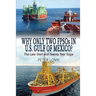 Why Only Two FPSOs in U.S. Gulf of Mexico?: The Late Start and Twenty Year Saga