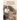 Desert Rose: - The Search For My Lost Lesbian Aunt