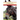 The Book of Donkeys: A Guide to Selecting, Caring, and Training