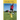 Master Your Football Skill: Tips To Improve All Aspects Of Your Soccer Game: Soccer Coaching Books