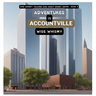 Adventures in Accountville
