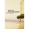 What Is Posthumanism?: Volume 8