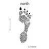 north: Book 1 of the Morningstar Series