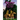 Fuzzy Ergo Sum