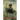 Inspector of the Dead