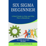 Six Sigma Beginner: How to Make Lean Six Sigma Even Leaner (A Brief Guide to How and Why This Is Beneficial)