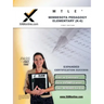 Mtle Minnesota Pedagogy: Elementary (K-6) Teacher Certification Test Prep Study Guide