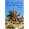 The Secret Life of Ancient Bristlecone Pines: Book One of the Secret Life Series