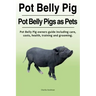 Pot Belly Pig. Pot Belly Pigs as Pets. Pot Belly Pig owners guide including care, costs, health, training and grooming.