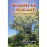 Anatomy of a Sundance: One Man's Perpective
