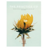The Practice Co - Volume Three