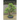 My Bonsai Year: Planning the Tending of Your Bonsai