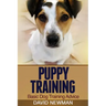 Puppy Training: Basic Dog Training Advice