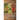 The Burgess Flower Book with new color images
