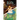 Alice I Have Been