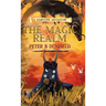 The Magic Realm: A Middle-Grade Time-Travelling Storyline Adventure