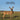 Idaho Animals and Mammals Kids Wildlife Book: Great Idaho Animals book with Lifelike Images and Fun Facts