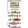 Trout & Salmon of North America, 2nd Ed: An Illustrated Folding Pocket Guide to Familiar Species