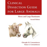 Clinical Dissection Guide for Large Animals