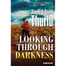 Looking Through Darkness: A Trading Post Novel
