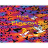 Night Pigeons