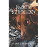 Dogs Are The Best People I Know: There's More To Them Than Meets The Eye