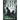 Black Ghost