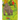 Jungle Animals Coloring Book 1