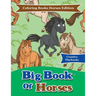 Big Book Of Horses - Coloring Books Horses Edition