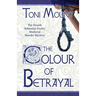 The Colour of Betrayal: A Sebastian Foxley Medieval Murder Mystery