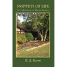 Snippets of Life: A Collection of Short Stories