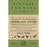 Domestic Geese and Ducks - A Complete and Authentic Handbook and Guide for Breeders, Growers and Admirers of Domestic Geese and Ducks