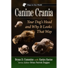 Canine Crania: Your Dog's Head and Why It Looks That Way