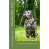 italian corso dog: italian corso dog