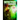 Detectives of the Fantastic: volume III