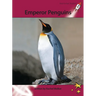 Emperor Penguins