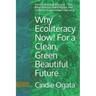 Why Ecoliteracy Now! For a Clean, Green Beautiful Future: Environmental Literacy - The Why Behind Place Based and Outdoor Experiential Learning