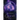 Seeker's Quest