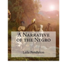 A Narrative of the Negro: (Large Print Edition)